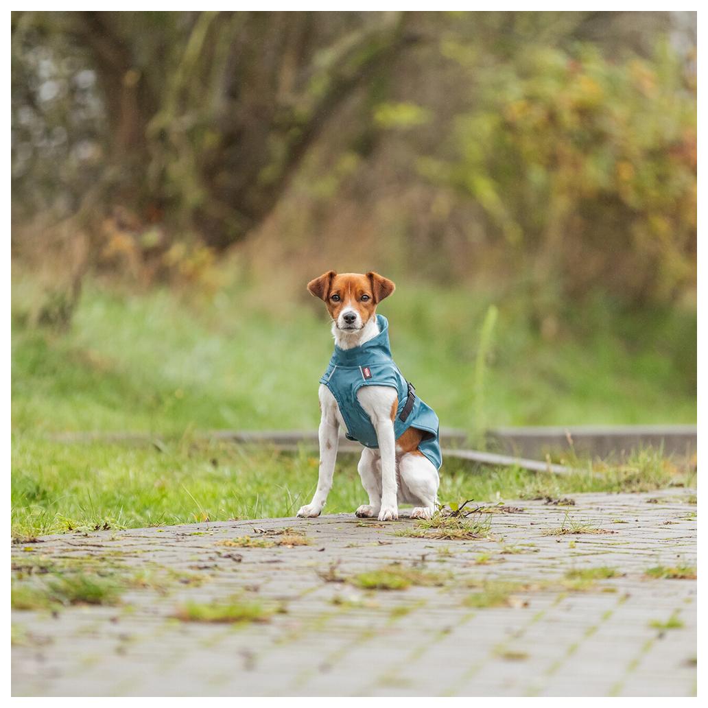 TX680250_7.jpg-1032x1032