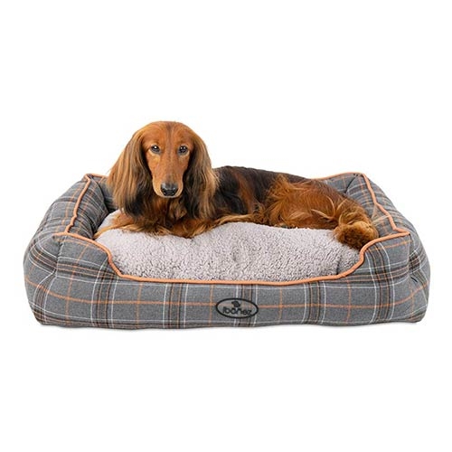 picture_39982_original